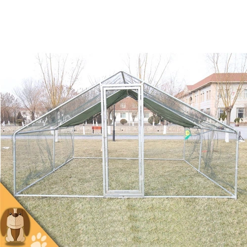 Corrida de galope de frango de metal grande