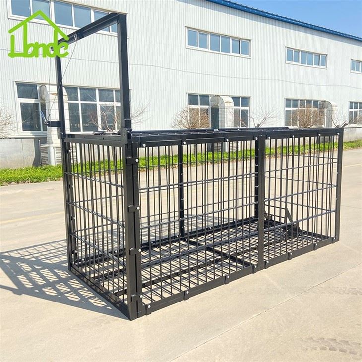 Bear Trap Cage best